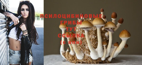 спиды Дмитриев