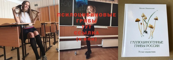спиды Дмитриев
