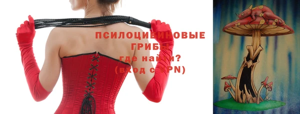 Альфа ПВП Дмитров