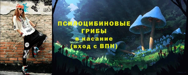 спиды Дмитриев