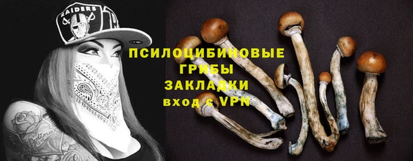 кокс Дмитровск