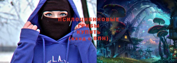 спиды Дмитриев