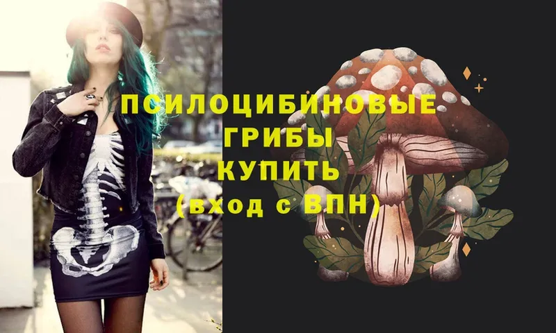 Галлюциногенные грибы Psilocybe  купить наркотики цена  Железногорск-Илимский 