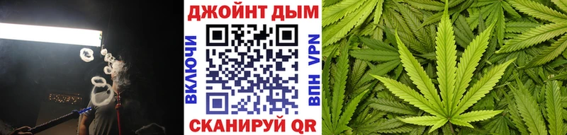 Конопля сатива  МЕГА   Железногорск-Илимский  что такое наркотик 
